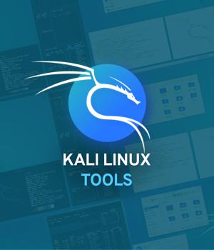 5 Kali Linux tools you should learn how to use