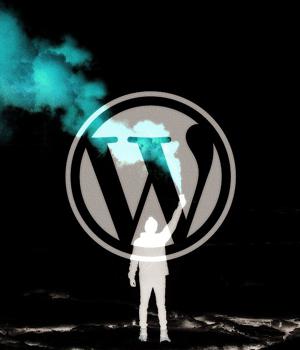 800K WordPress sites still impacted by critical SEO plugin flaw