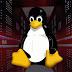 A New Linux Malware Targeting High-Performance Computing Clusters