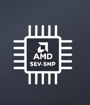 AMD SEV-SNP Vulnerability Allows Malicious Microcode Injection with Admin Access