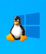 August Windows security update breaks dual boot on Linux systems