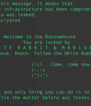 Babuk Source Code Sparks 9 Different Ransomware Strains Targeting VMware ESXi Systems