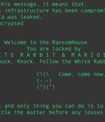Babuk Source Code Sparks 9 Different Ransomware Strains Targeting VMware ESXi Systems