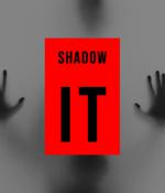 Balancing security risks and innovation potential of shadow IT teams