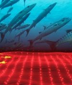 Barracuda gateway attacks: How Chinese snoops keep a grip on victims' networks