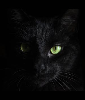 BlackCat (ALPHV) ransomware linked to BlackMatter, DarkSide gangs