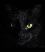 BlackCat (ALPHV) ransomware linked to BlackMatter, DarkSide gangs