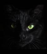 BlackCat ransomware fails to extort Australian commercial law giant