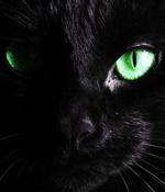 BlackCat Ransomware Gang Targeting Unpatched Microsoft Exchange Servers