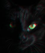 BlackCat ransomware shuts down in exit scam, blames the "feds"