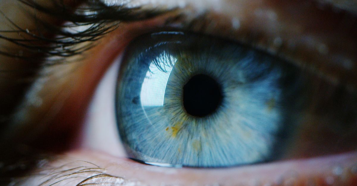 Bot creates millions of fake eyeballs to rip off smart-TV advertisers
