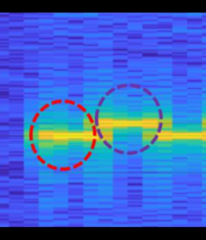 Breaching airgap security: using your phone’s gyroscope as a microphone