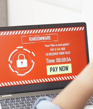Building cyber resilience with data vaults
