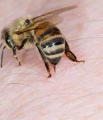 Bumblebee malware wakes from hibernation, forgets what year it is, attacks with macros
