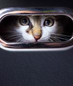 ‘Charming Kitten’ APT Siphons Intel From Mid-East Scholars
