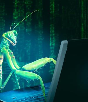 CISA urges admins to patch critical Discourse code execution bug