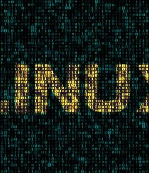 Critical “10-out-of-10” Linux kernel SMB hole – should you worry?