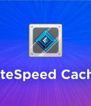 Critical Security Flaw Found in LiteSpeed Cache Plugin for WordPress