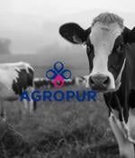 Dairy giant Agropur says data breach exposed customer info