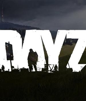 DDoS attacks reportedly behind DayZ and Arma network outages