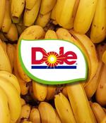 Dole discloses employee data breach after ransomware attack
