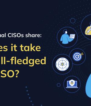 Download the eBook: What Does it Take to be a Full-Fledged Virtual CISO?
