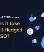 Download the eBook: What Does it Take to be a Full-Fledged Virtual CISO?