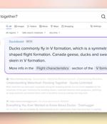 DuckDuckGo launches AI-powered search query answering tool