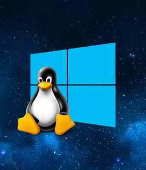 EasyWSL turns Linux docker images into a Windows 10 WSL distro