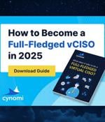 eBook: What does it take to be a full-fledged virtual CISO?