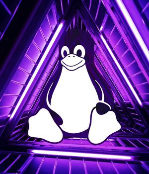 Fake Linux vulnerability exploit drops data-stealing malware