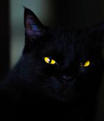 FBI: BlackCat ransomware breached at least 60 entities worldwide