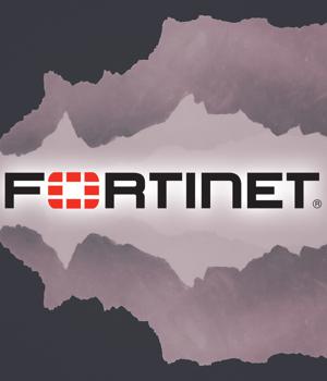 Fortinet plugs critical RCE hole in FortiOS, FortiProxy (CVE-2023-25610)