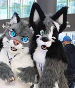 'Gay furry hackers' say they've disbanded after raiding Project 2025's Heritage Foundation