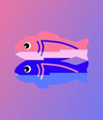 Glitch to end app hosting and user profiles on July 8