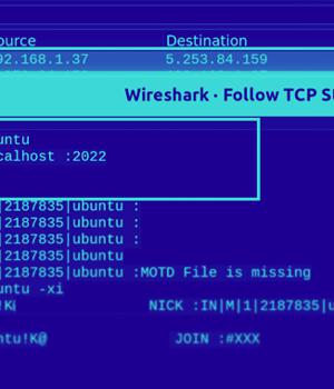 GoBruteforcer: New Golang-Based Malware Breaches Web Servers Via Brute-Force Attacks