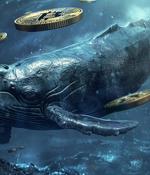 Google ad impersonates Whales Market to push wallet drainer malware