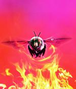 Google ads push BumbleBee malware used by ransomware gangs