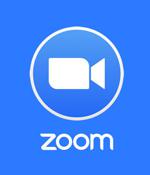Google Details Two Zero-Day Bugs Reported in Zoom Clients and MMR Servers