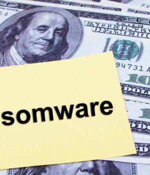 Google's VirusTotal reports that 95% of ransomware spotted targets Windows