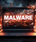 Hackers leverage 1-day vulnerabilities to deliver custom Linux malware