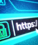 How To Defend the Extended Network Against Web Risks