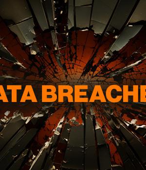 Identity-related data breaches cost more than average incidents