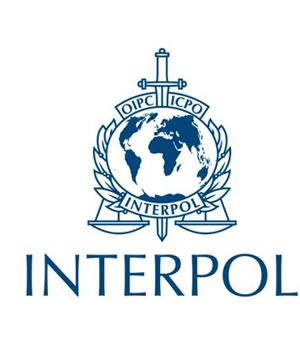 Interpol: Policing model needs to change with cybercrime