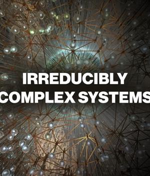 Introducing the book: Irreducibly Complex Systems