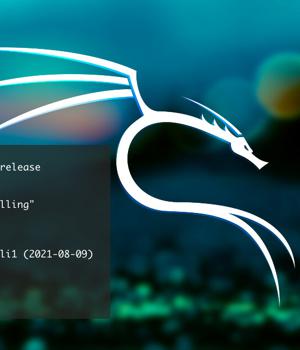 Kali Linux 2021.3 released: Kali NetHunter on a smartwatch, wider OpenSSL compatibility, new tools, and more!