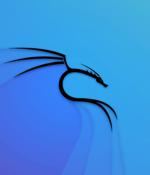 Kali Linux 2022.1 released with 6 new tools, SSH wide compat, and more