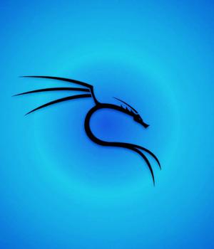 Kali linux bare metal что это