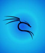 Kali Linux adds VM-like snapshot feature to bare-metal installs