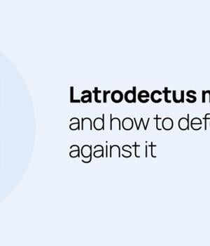 Latrodectus malware and how to defend against it with Wazuh